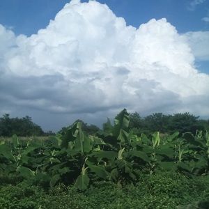 Meet your Posher, Lucy